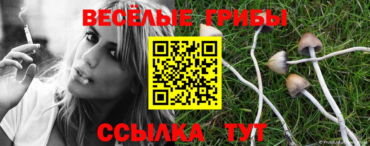 Галлюциногенные грибы мицелий  Галлюциногенные грибы мухоморы  Кстово  где продают наркотики  Вход с VPN 