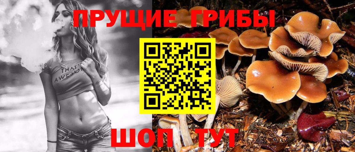 Псилоцибиновые грибы прущие грибы Кстово